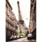 Paris, Saltando frente a la torre Eiffel