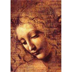 Cuadro Leonardo Da Vinci, Madonna