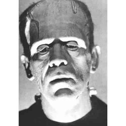 Frankenstein, Retrato