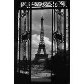 Paris, Eiffel Tower Through Gates