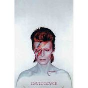 David Bowie, Maquillado