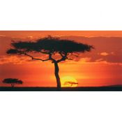 Atardecer africano, Kenia