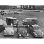 Volkswagen, Bugs parking