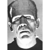 Frankenstein, portrait