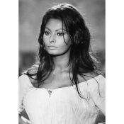 Sophia Loren. portrait
