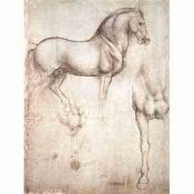 Leonardo Da Vinci, Study of Horses