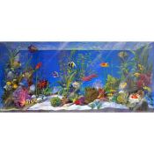 Multicoloured Fish Tank