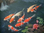 Lago Pecera Japones con peces de colores