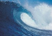 Cuadro de Surf: Gran Ola Gigante para Surfear