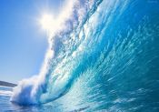 Cuadro de Surf: La Gran Ola Gigante del Pacifico
