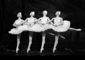 Fotografa clsica de Ballet en blanco y negro: 4 Bailarinas