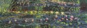 Cuadro panoramico de MONET: Lago con plantas