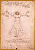 Leonardo Da Vinci, Vitruvian man